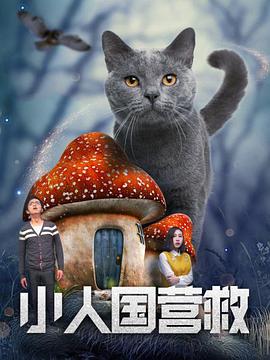 青娱乐91视频